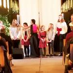 A number of singers perform at the concert.