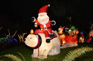 Santa rides a polar bear in the Rolling Bay neighborhood. Nancy Treder/Bainbridge Island Review photos