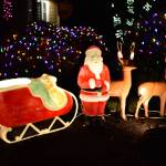 Santa's sleigh and his reindeer in Rolling Bay.