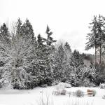 Nancy Treder/Bainbridge Island Review photos
Snow blanketed Bainbridge Island to reveal a winter wonderland for the holiday weekend.