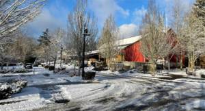 Even the parking lot at City Hall was icy at times. Courtesy photo