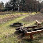 The property includes many acres of open land.