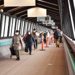 Old carpet is just one of the issues with the walkway. Nancy Treder/Bainbridge Island Review photos