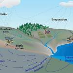 This courtesy graphic shows the cycle of rain and groundwater.
