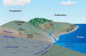 This courtesy graphic shows the cycle of rain and groundwater.