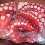 Octopus waiting to be prepared.