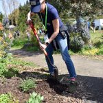 Amber Murray was one of many volunteers who turned out to spruce up Rotary Park on Earth Day.