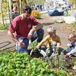Nick Holbein watches as his children,  Arthur (5) and Daphne (2) do their best digging holes for plants during the Earth Day celebration April 24 at Rotary Park. Nancy Treder/Bainbridge Review photots