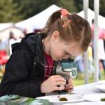 Wilkes Elementary first-grader Sydney Wooton examines a stink bug and moss samples under a microscope at the Bloedel Reserve booth.