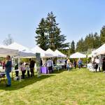 Many Bainbridge Island organizations greeted guests who attended the 2022 Earth Day festivities at Rotary Park.