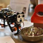 Automated cat feeder made in the Electronic & Technical Arts studio.