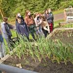 Woodward Middle School seventh-graders survey recent growth in the garden they refurbished last fall as part of the cooking skills class taught by Meloni Courtway.