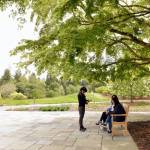 Nancy Treder/Bainbridge Island Review photos
Visitors sit on a bench under a Japanese maple tree in the newly renovated arrival plaza near the main entrance of the Bloedel Reserve.