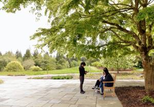Nancy Treder/Bainbridge Island Review photos
Visitors sit on a bench under a Japanese maple tree in the newly renovated arrival plaza near the main entrance of the Bloedel Reserve.