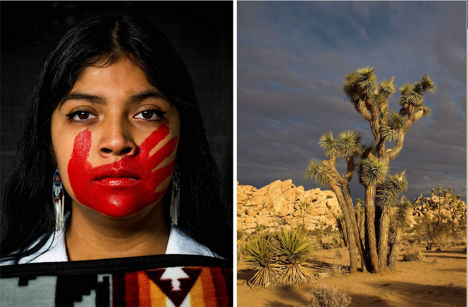6th District Congressional Art winners. Angelina Kollodge won first place with her photo Fierce Silence, and Maddy Coodro won third place with her photo Desert Beauty. Courtesy photo