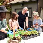 Nancy Treder/Bainbridge Island Review photos
Sakai Elementary School 5th grade students Sophie Garcia, Adelae Fell and Livia Paar learn how to plant a salad with Veg Club educator Carol Appenzeller at the Bainbridge Island Public Library.