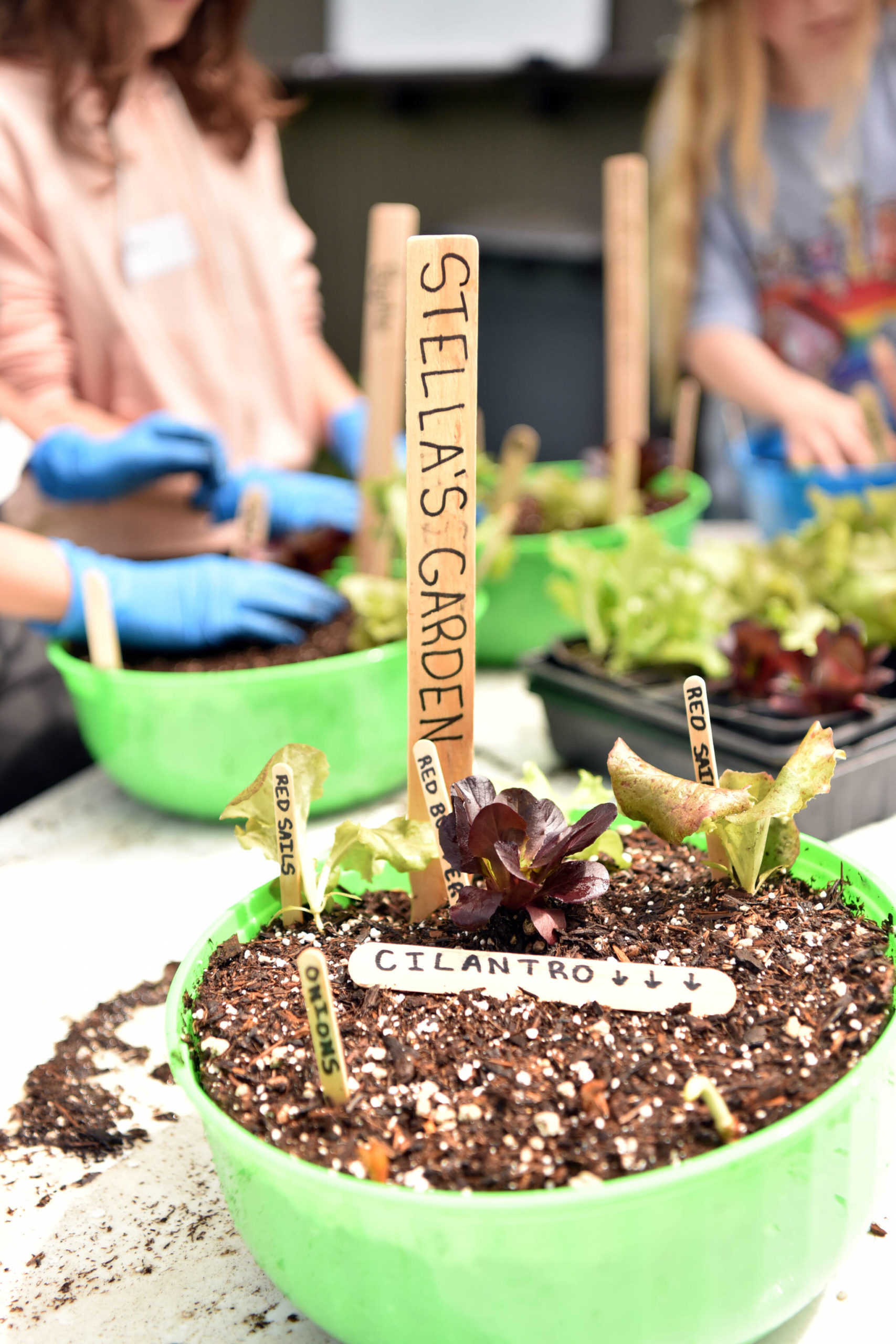 A completed food bowl made during a food resiliency class offered by the Veg Club at the Bainbridge library.