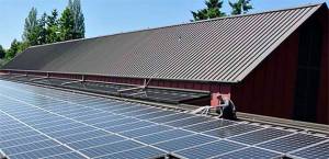 Local solar projects could help Bainbridge become more self-sufficient for power. Courtesy Photo