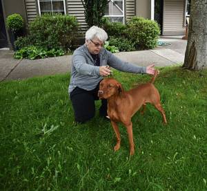 Nicholas Zeller-Singh/Bainbridge Island Review Photos
Gail Fleming returned to Bainbridge Island after winning Best Breed at the 2022 Westminster Dog Show.