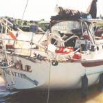 The Oracle. Courtesy Photo