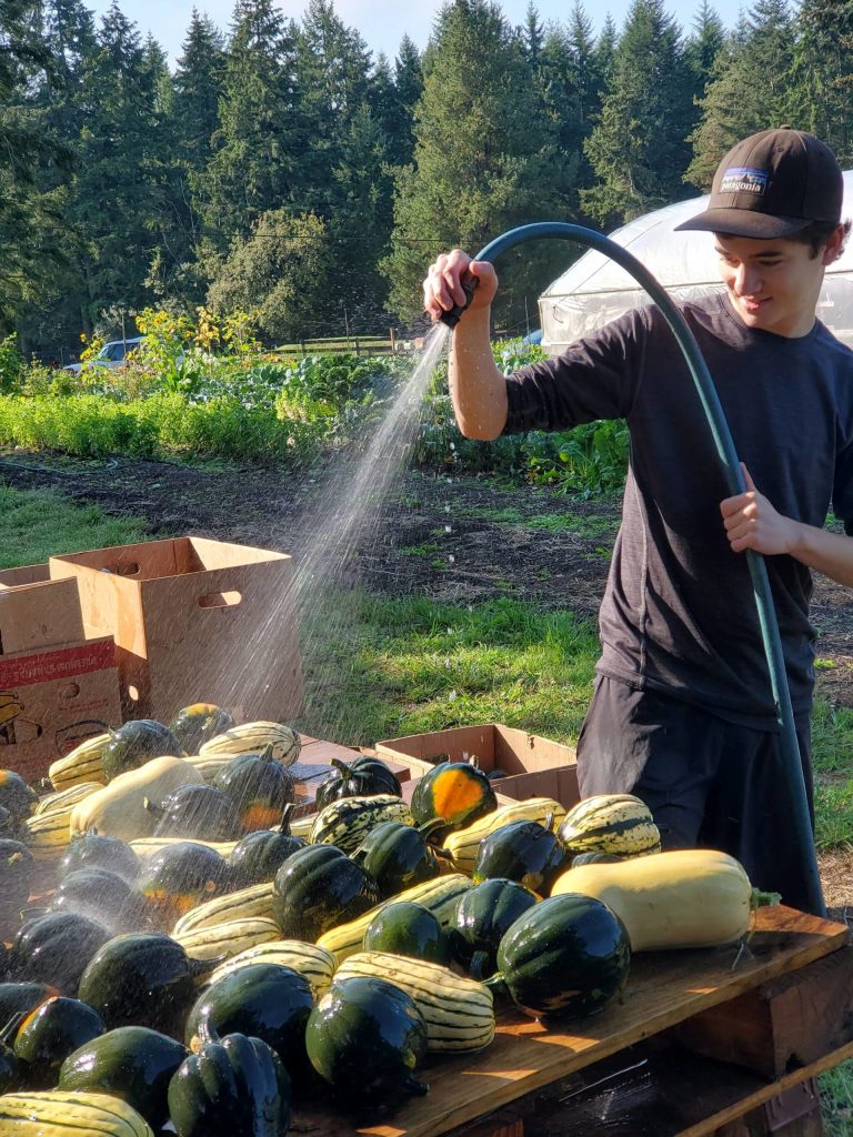 Intern Evan Gray has worked at the farm since 2020.