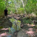 A wetlands area was uncovered during construction of the new Farm Trail.