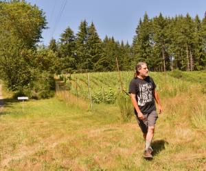 Lempriere in front of his Melon de Bourgogne. Nancy Treder/Bainbridge Island Review Photos