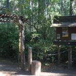 The entrance to the Kitsap Forest Theater leads the audience on the beginning of a downhill hike to their seats.