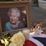A tribute to Her Majesty Queen Elizabeth II features a toy corgi.