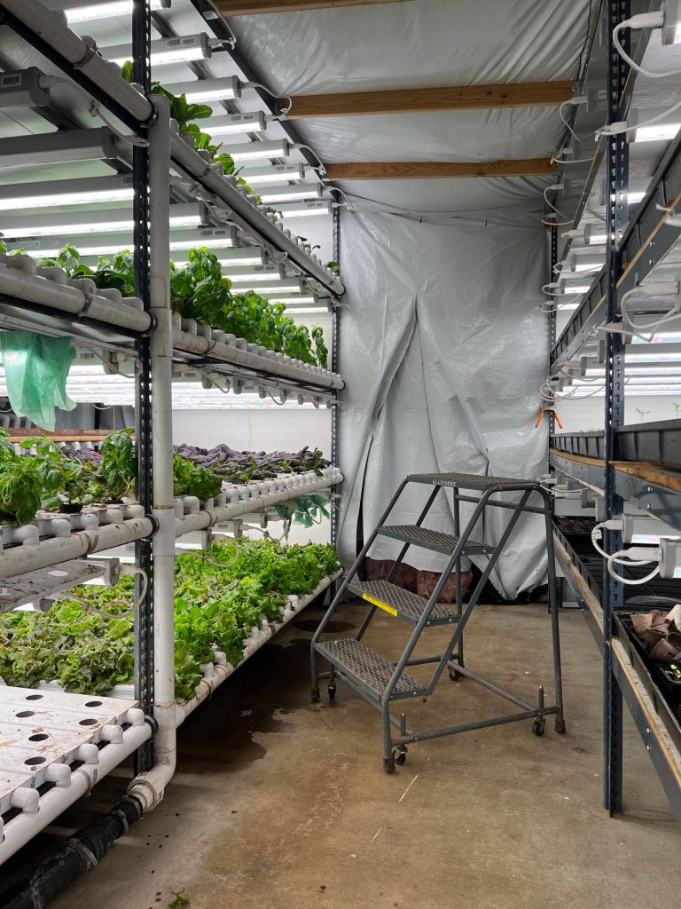 Hydroponic growing stacks at Vireo Farm.