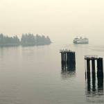 Nancy Treder/Kitsap News Group Photos