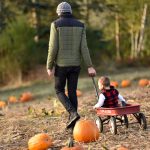 Aston Paduli looks for the perfect pumpkin while his dad, Daniel leads the way at the Suyematsu Farm pumpkin patch Oct. 23. Nancy Treder/Kitsap News Group Photos
