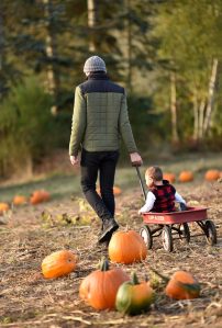 Aston Paduli looks for the perfect pumpkin while his dad, Daniel leads the way at the Suyematsu Farm pumpkin patch Oct. 23. Nancy Treder/Kitsap News Group Photos