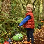 James DeWitt finds a Hulk pumpkin on the trail at Bainbridge Gardens Oct. 23. The business allows the community to place decorated pumpkins along the trail each Halloween for all to enjoy.