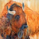 Jani Freimanns works.