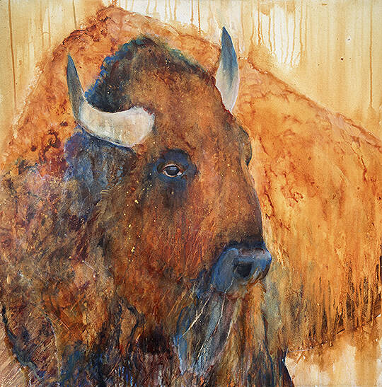 Jani Freimanns works.