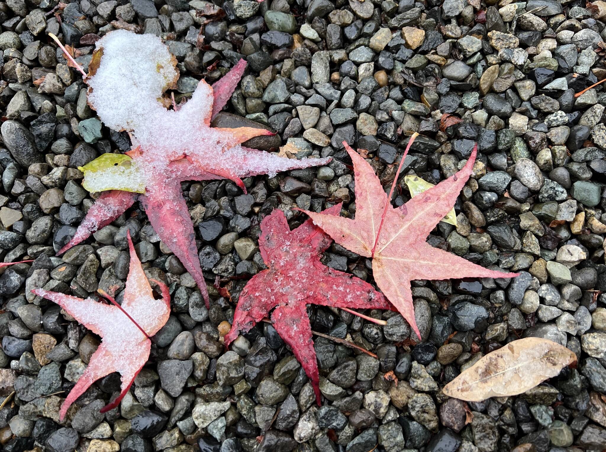 Transition to winter.