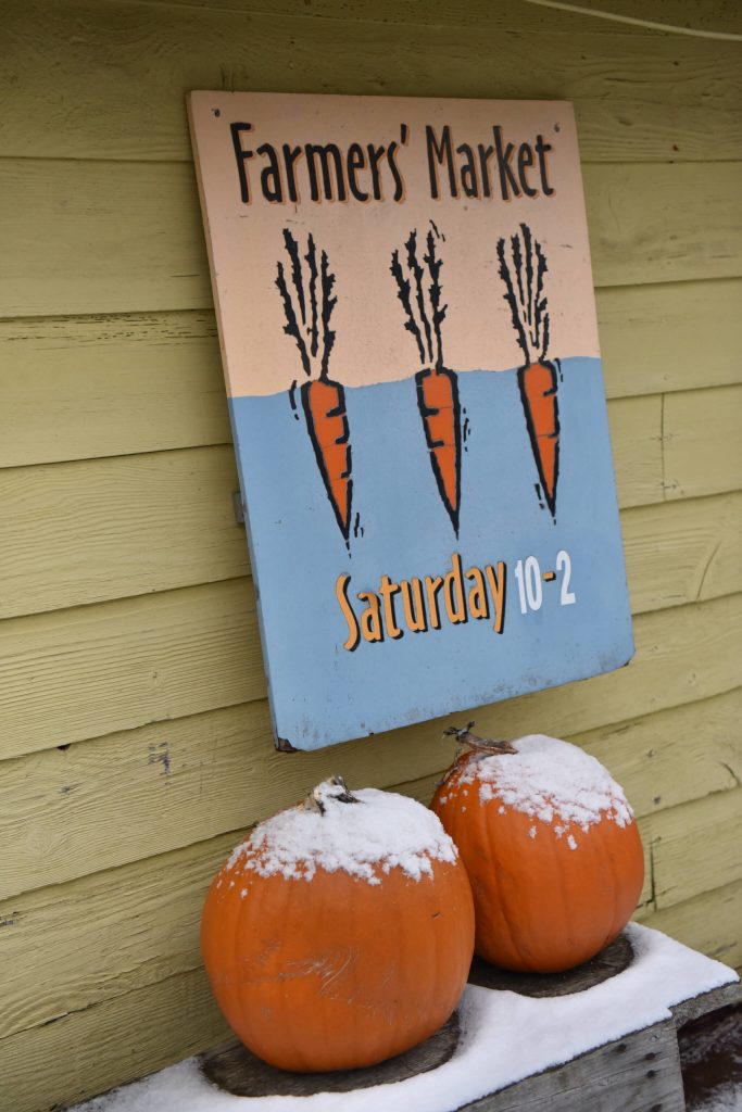 Snow topped pumpkins at Butler Green Farms.