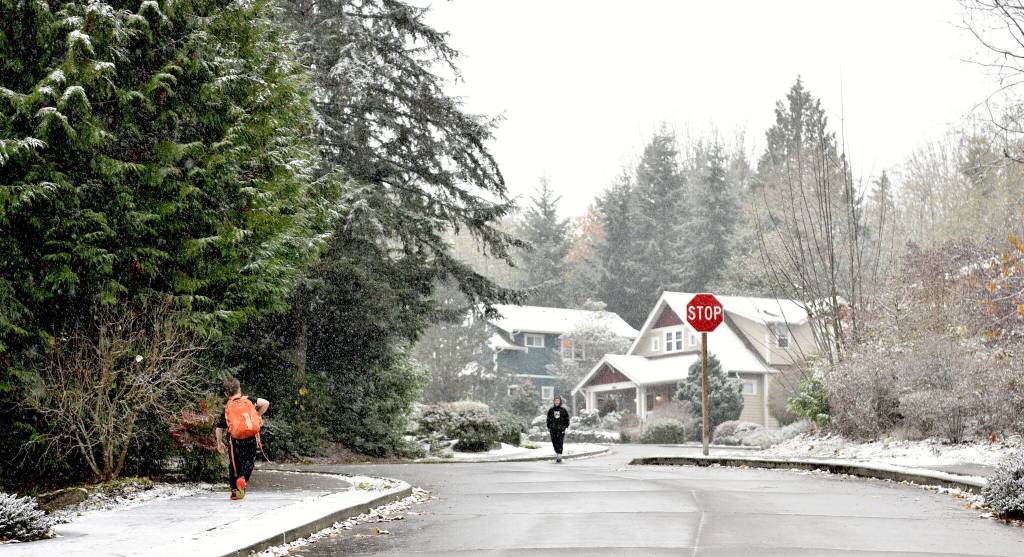 Kids walk to school in the snow in North Town Woods.