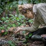 Samantha Zwicker shares a moment with Keanu, the orphaned ocelot she and Harry Turner raised and released in the Peruvian jungle in 2019. Courtesy photo