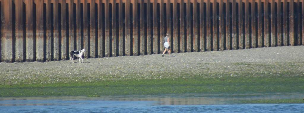 Finally, discussion has begun again on what to do with the Superfund site on the south side of Eagle Harbor. Steve Powell/File Photo
