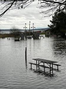 Fay Bainbridge Park picnic area flooded by the storm surge Dec. 27. Courtesy Photos