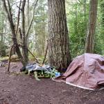 A tidy encampment found at a park in Poulsbo.