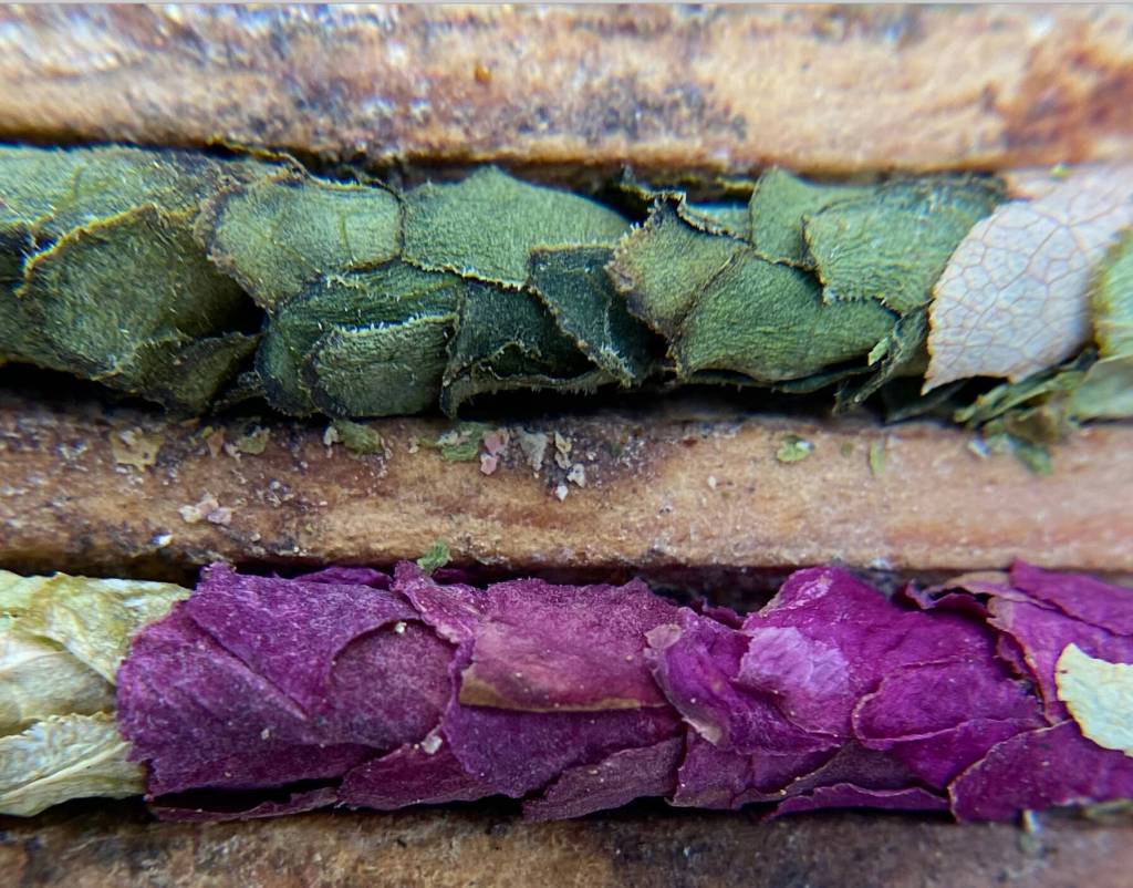 Female leafcutter bees construct nests buy cutting leaves or flower petals with their mouths and gently chewing on them to shape them into little "sleeping bags" for their eggs.