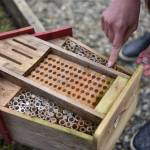 Thyra McKelvie points out that this bee house is not ideal for bees because the bamboo sticks cannot be removed for cleaning.