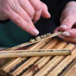 A multitude of predators took up residence in a bamboo stick. Nancy Treder/Kitsap News Group Photos