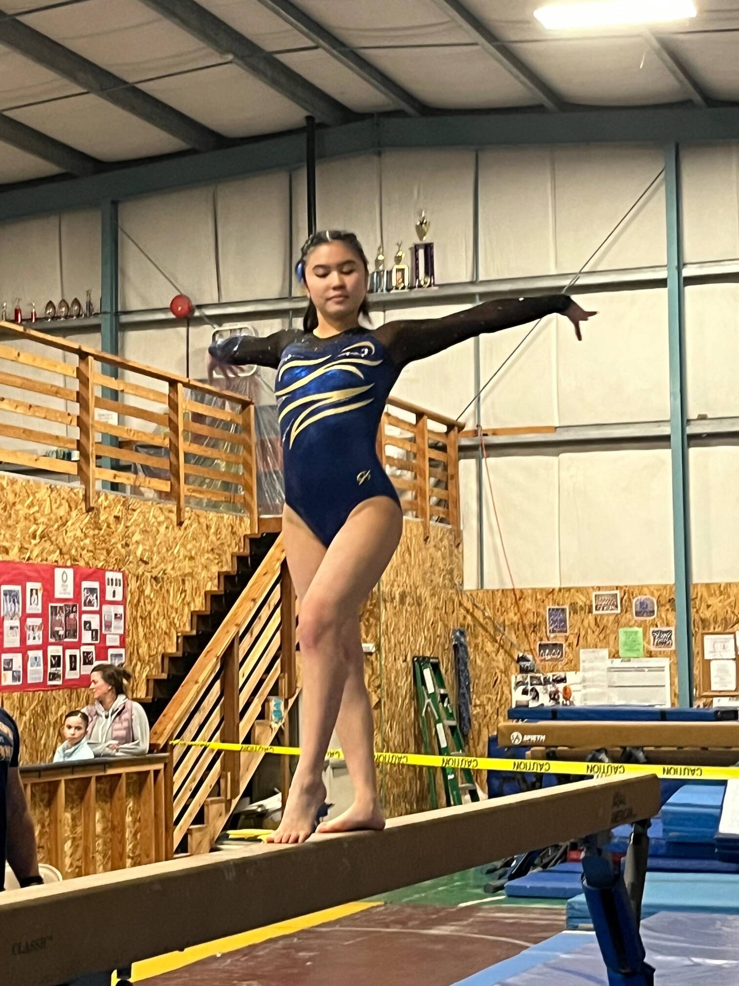 Jade Bereman finished sixth all-around at the West Central Districts. File Photo