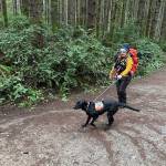 Bean enjoys the 'game' and when she is successful she gets to play with her favorite squeak toy as a reward.
