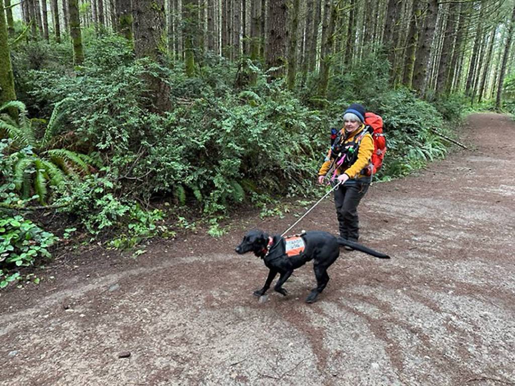 Bean enjoys the 'game' and when she is successful she gets to play with her favorite squeak toy as a reward.