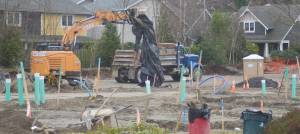 Construction work is under way at the new Wintergreen Townhomes project near Virginia Mason on Bainbridge Island. It is just one of many affordable housing projects in the works on BI in an effort to allow people who work on BI to be able to afford to live here. That has been a focus of the City Council and city staff over the past few years. Steve Powell/Kitsap News Group